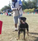 12-18 month Females: 100 5241