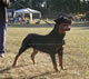 12-18 month Males: 100 5096