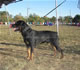 12-18 month Males: 100 5149