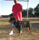 12-18 month Males: 100 5152