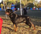 18-24 month Males: 100 5176