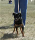 4-6 month Females: 100 4782