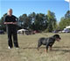 4-6 month Males: 100 4617
