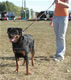 9-12 month Females: 100 4954