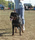 9-12 month Females: 100 4982