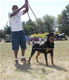 9-12 month Males: 100 4705