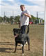 Gebrauchshund Females: 100 5771