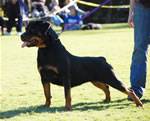 12-18 FEMALES: 00432  Tilley Von Sederhaus V1