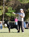 18-24 FEMALES: 0470 Isis Von Norroghaus V1