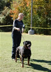 SIEGERIN CLASS FEMALES: 0267 Mia From Royal Breed Of Kanjevac V4