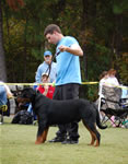 9-12 MALES: 0141 Boris Von Landschaft VP1