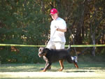 MALES VETERANS: 0318 Ramzes Crni Lotos V1 From Veterans Class