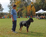 0277 King V Drakkenfels G3