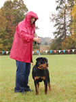 0085 Jennasons Cajun Chance P