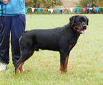 0105 Nikko V Drakkenfels P4