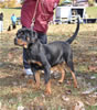 0206 Gharper Lee Von Brinkhaus