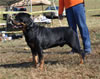 0595 Stoneridge Bruno V Rock Run Evrmor V2