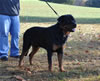 0539 Andros Von Evman SG