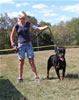 OPEN FEMALES: 0955 Bronkos Legacy V