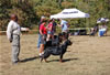 OPEN FEMALES: 1052 Open Females