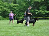 0646 Gebrauschund Males