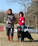 1531 Queen La Diva Von Evman V2 Champion Females