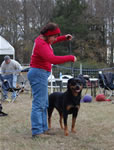 18-24 MONTH FEMALES: 1068 Tiara Von Evman SG2 
