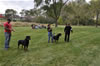 DSC 0017