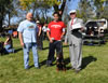 0178 Truebloods Brooklyn Bounce VP1