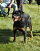 0202 Riley Von Der Morro VP