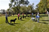 0262 9-12 Month Females