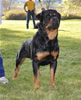 0585 Trajans Aslan V Haus Hedl V4