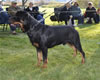 0610 Stoneridge Bruno V Rock Run Evmor V
