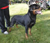 0628 Quazar Von Der King V2