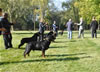 0648 Sieger Class Males
