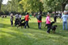 0346 12-18 Month Males