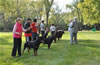 0349 12-18 Month Males