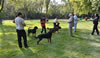 0353 12-18 Month Males