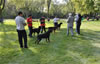 0354 12-18 Month Males