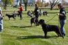 0145 9-12 Month Males
