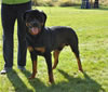 0732 A Legends Reign Von Mitternadt V