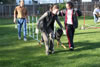 Lexi vom Blaurasen: Lexi Agility8