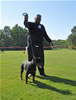 Rottweiler Puppies 4-6 mth: 0013 Foundations Donovan V Jamroc P2