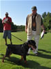 Rottweiler Puppies 4-6 mth: 0015 X Nemo Vom Blaurasen VP1 Best Male Puppy
