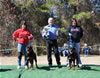 9-12 mth Rottweiler Females: 0229 Indra Vom Evman VP1 And Isis Von Evman VP2