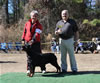 Rottweiler Breeder Class: 0736 Darkstarrs Easy To Flirt V3
