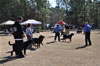 12-18 mth Rottweiler males: 0285