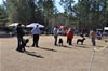 6-9 mth Rottweiler Males: 0050