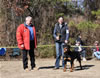 6-9 mth Rottweiler Males: 0052 Gentry Creek Quinlan VP4