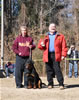 6-9 mth Rottweiler Males: 0059 Huck Von Landschaft VP1